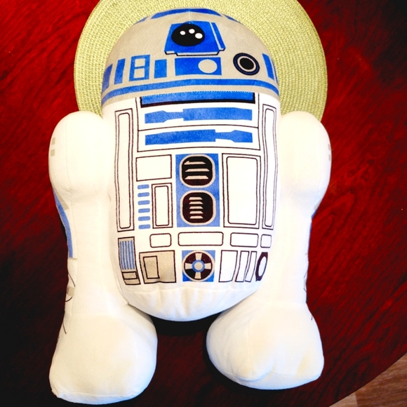 R2 - Picture 4 of 5